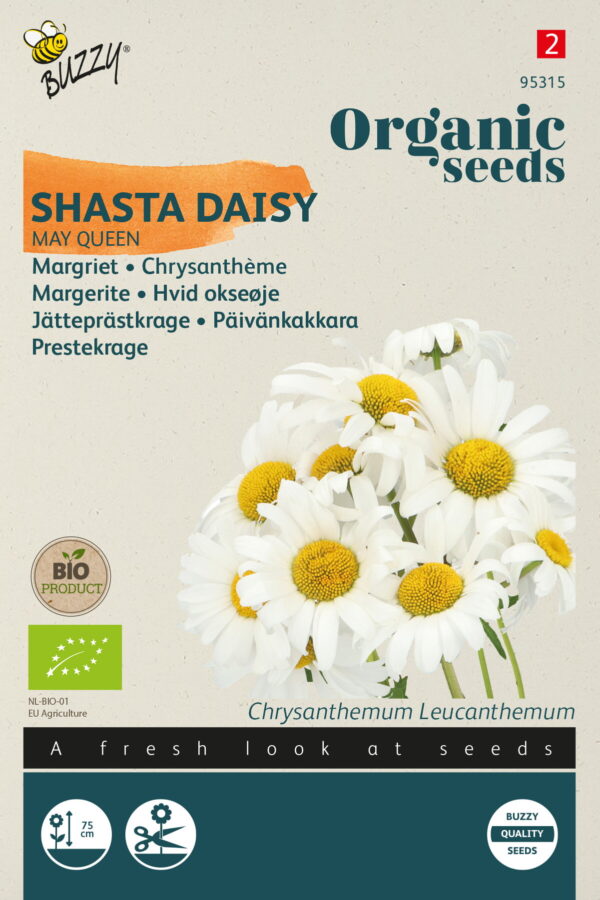 organic chrysanthemum leucanthemum 95315